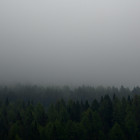 Пензенцев предупреждают о дожде и тумане 16 сентября