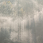 Четверг встретит пензенцев туманом и дождем