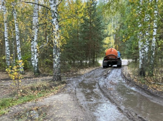 «Вонь жуткая». Лес под Шемышейкой заливают испражнениями