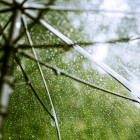 Во вторник в Пензенской области будет пасмурно и дождливо