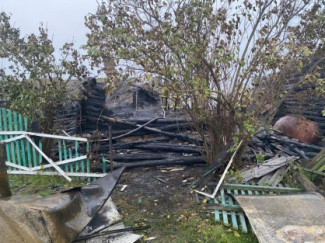 Опубликованы фото с места трагической гибели пенсионерки в Пензенской области