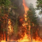 Рослесхоз проследит за пожарами в Пензе 
