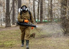 Пензенцев попросили воздержаться от посещения Олимпийской аллеи