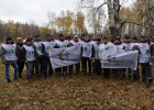 50 тысяч деревьев городам «Т Плюс» 