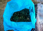 В Пензенской области у молодого парня нашли около 30 граммов запрещенного вещества