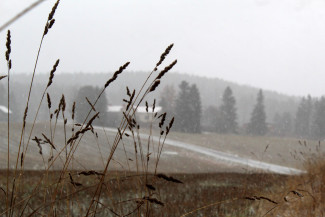 Пятница встретит пензенцев дождем и мокрым снегом