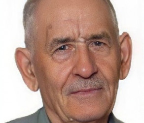 В лесах Пензенской области бесследно исчез 85-летний пенсионер