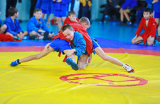 В Пензе прошли соревнования, посвященные Всероссийскому дню самбо