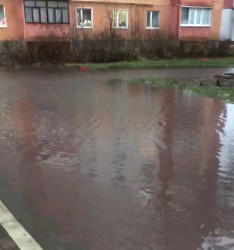 Жители пензенского района Терновка показали море рядом с домом