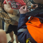 В Пензе игры шестимесячного ребенка окончились приездом спасателей