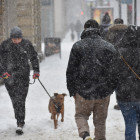 Пензенцев предупреждают о гололедице, дожде и мокром снеге 24 ноября