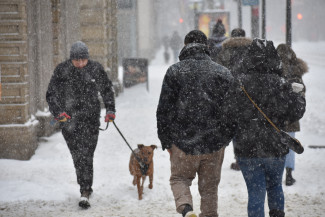 Пензенцев предупреждают о гололедице, дожде и мокром снеге 24 ноября