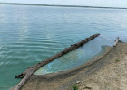 Сурское море по колено. Главное водохранилище Пензенской области приведут в порядок?
