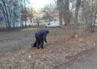 В Пензе навели порядок на центральных улицах
