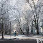 Завтра в Пензенской области будет холодно и туманно