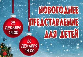 Пензенцев приглашают на новогодние представления в Центр культуры и досуга