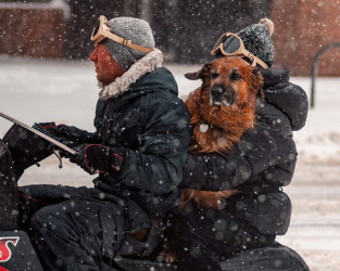 Пензенцев предупреждают о снеге и сильном ветре 9 декабря