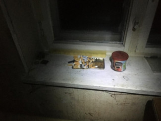 В Пензенской области при пожаре погиб пожилой мужчина