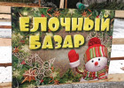 В Пензе провели рейд по елочным базарам