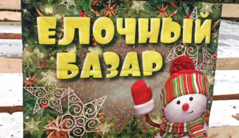 В Пензе провели рейд по елочным базарам