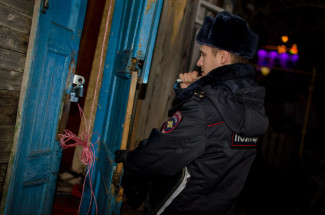 В Пензенской области 35-летний уголовник обчистил сарай сельчанки