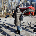 Какая погода ожидается в Пензенской области 20 декабря?