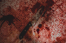 Жуткое убийство в Пензенской области: пенсионер разделался с гостем с помощью ножа и топора