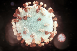 В Пензенской области за минувшие сутки выявили 79 случаев коронавируса