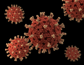 В Пензенской области за минувшие сутки выявили 72 случая коронавируса