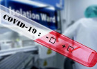 В Пензенской области перед Новым годом десятки человек подхватили COVID-19