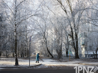 Воскресенье 8 января в Пензенской области будет морозным