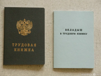 В России ввели трудовые книжки нового образца