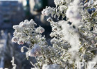 9 января в Пензенской области похолодает до -31 градуса