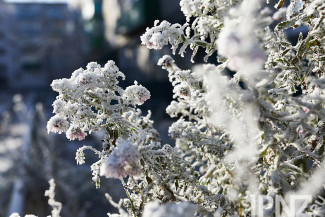 9 января в Пензенской области похолодает до -31 градуса