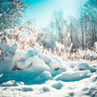Какая погода ожидается в Пензенской области 12 января?