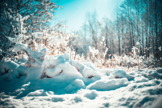 Какая погода ожидается в Пензенской области 12 января?