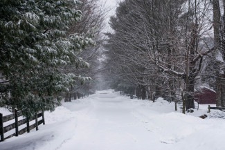 Какая погода ожидается в Пензенской области 13 января?