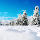 Какая погода ожидается в Пензенской области 14 января?