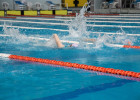 Пензенцев приглашают бесплатно поплавать в бассейне во дворце водного спорта Сура