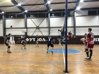Трудовые коллективы Пензы сразились в волейбол