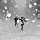Первый день февраля встретит пензенцев туманом и снегом