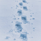 Пензенцев предупреждают о снеге и гололедице 2 февраля