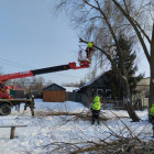 В Пензе провели опиловку деревьев на улице Зеленодольской 