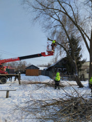 В Пензе провели опиловку деревьев на улице Зеленодольской 