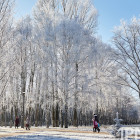 Какая погода ожидается в Пензенской области 10 февраля?