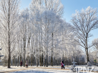 Какая погода ожидается в Пензенской области 10 февраля?