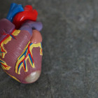 В Пензе начался прямой эфир с главным кардиологом регионального минздрава