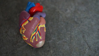 В Пензе начался прямой эфир с главным кардиологом регионального минздрава