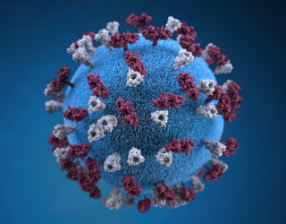 В Пензенской области за минувшие сутки выявлено 186 случаев коронавируса