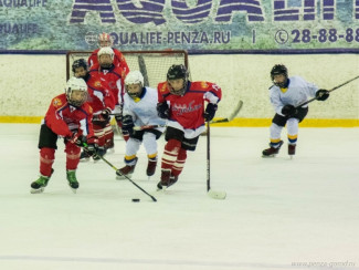 Юные пензенские хоккеисты стали призерами регионального этапа Всероссийских соревнований